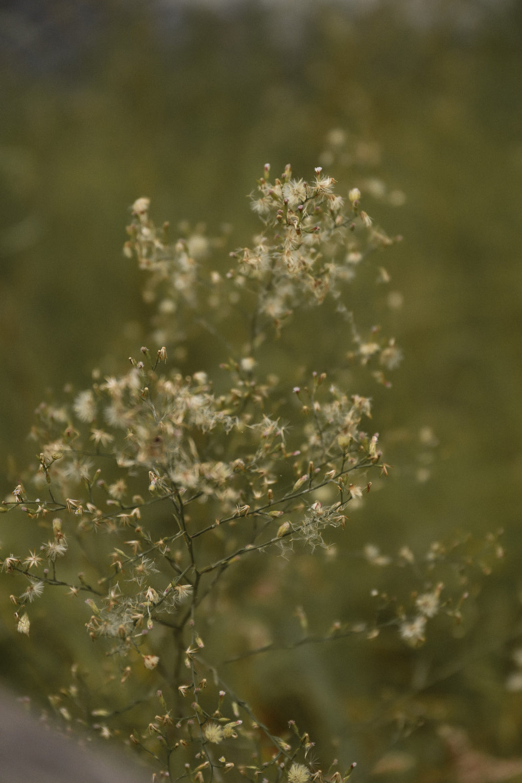 Considered Materials