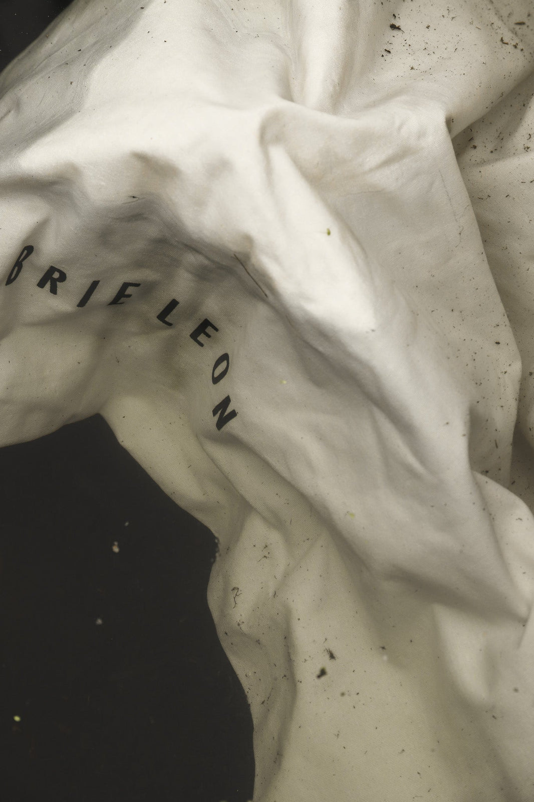 Our Power, Our Planet