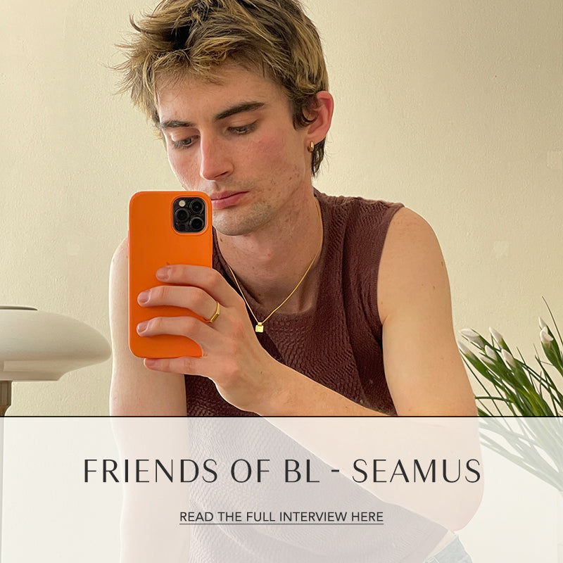 FRIENDS OF BRIE LEON - SEAMUS PHELAN