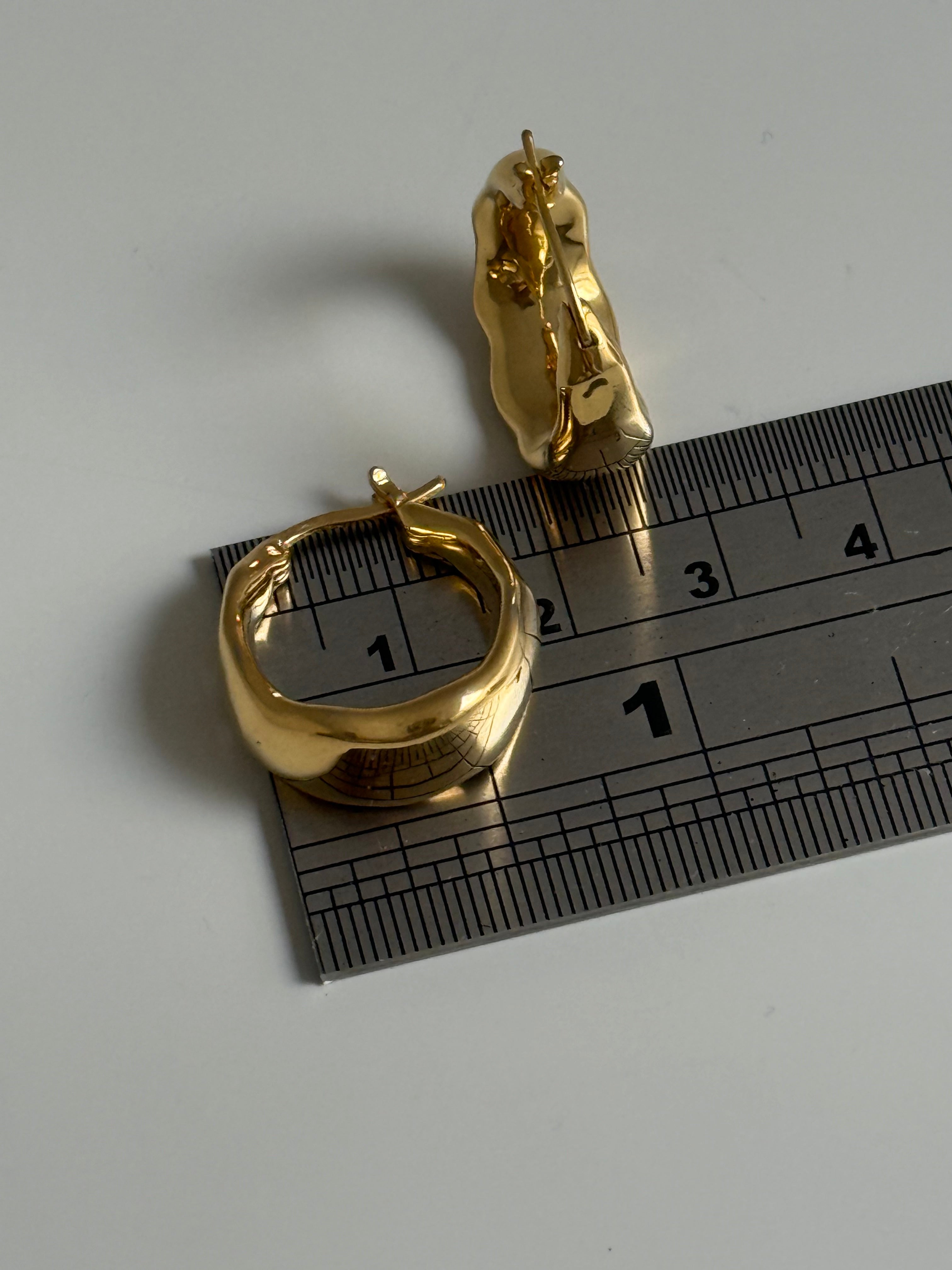 Organica Curved Earrings