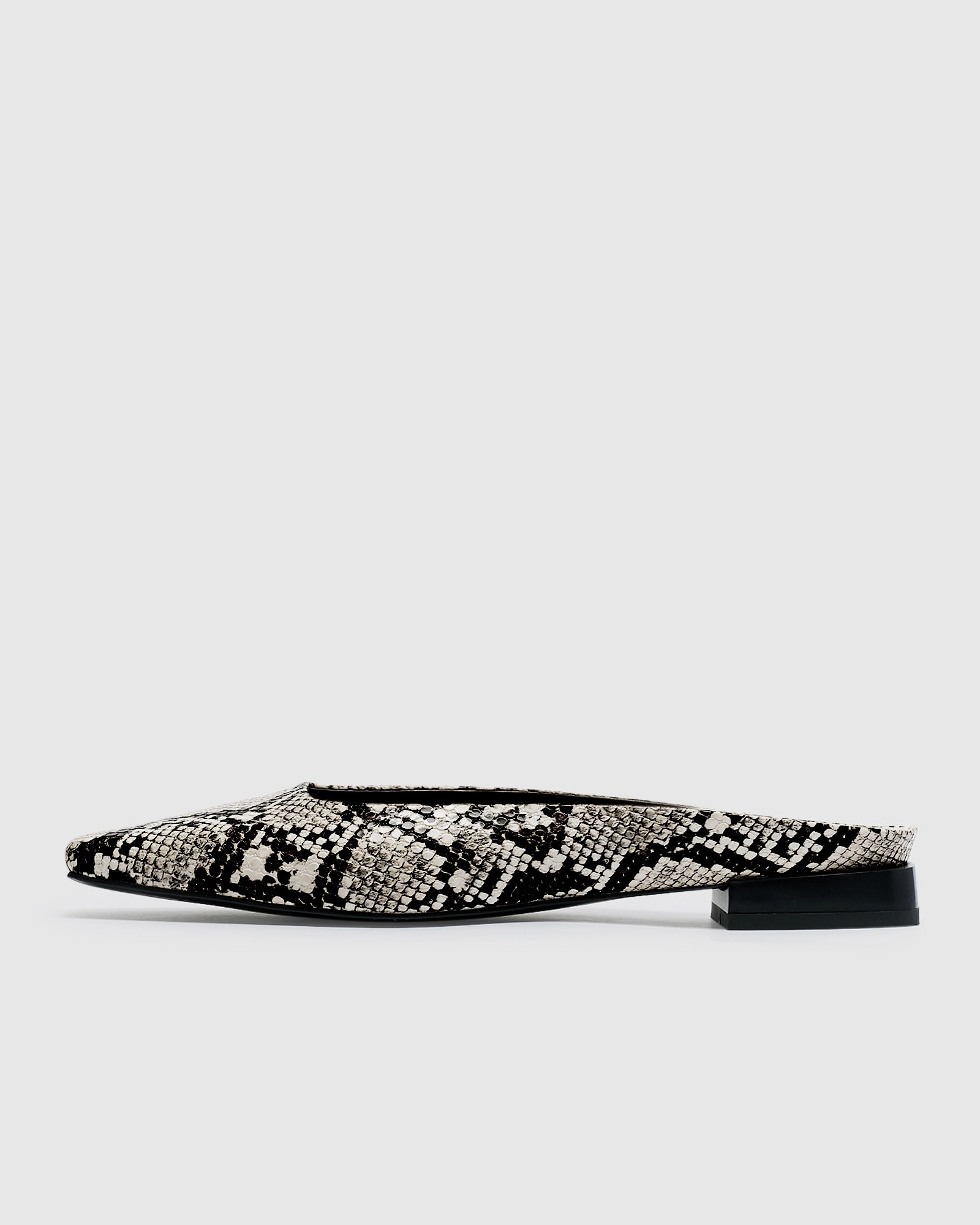 Amelia Ballet Mule
