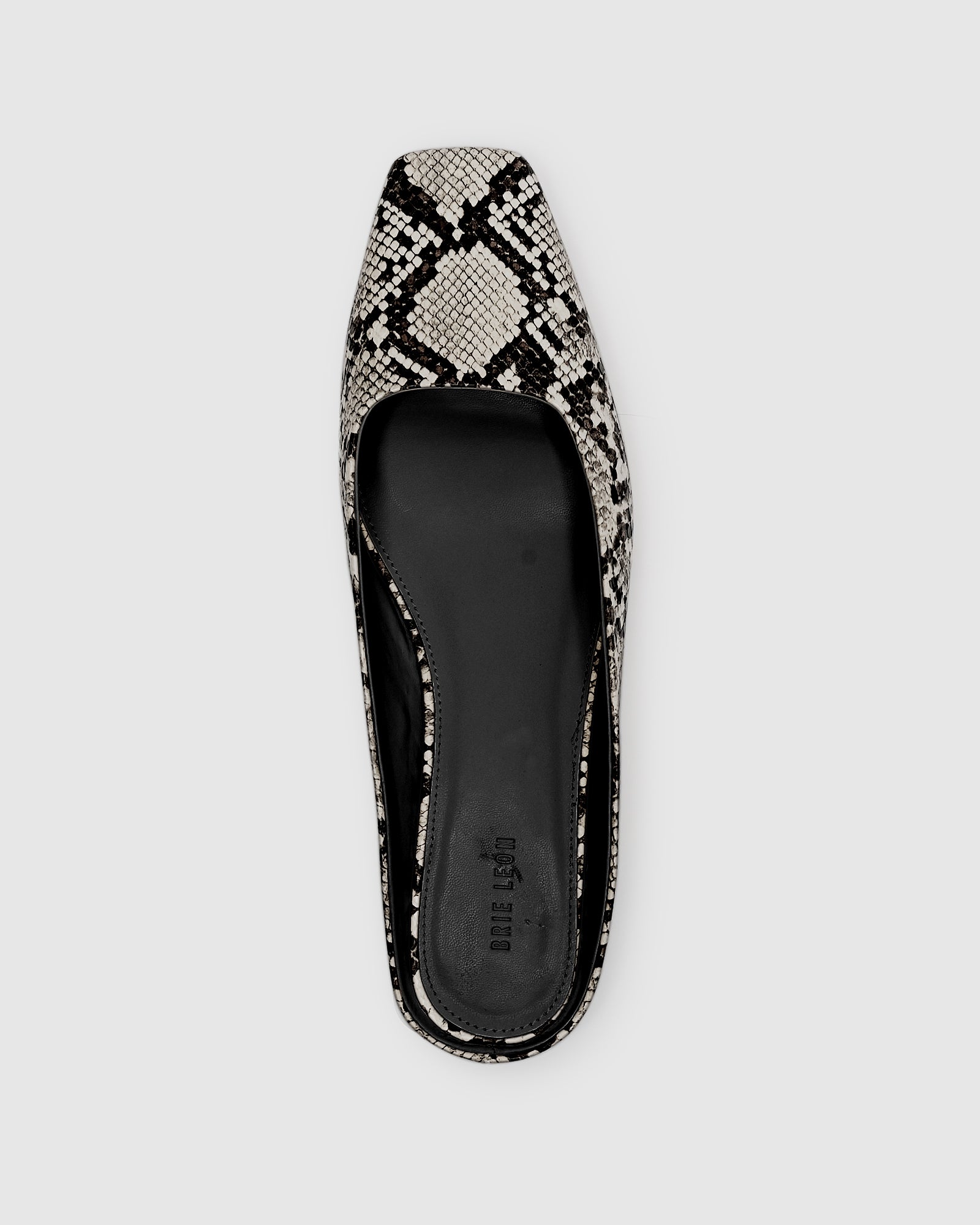 Amelia Ballet Mule
