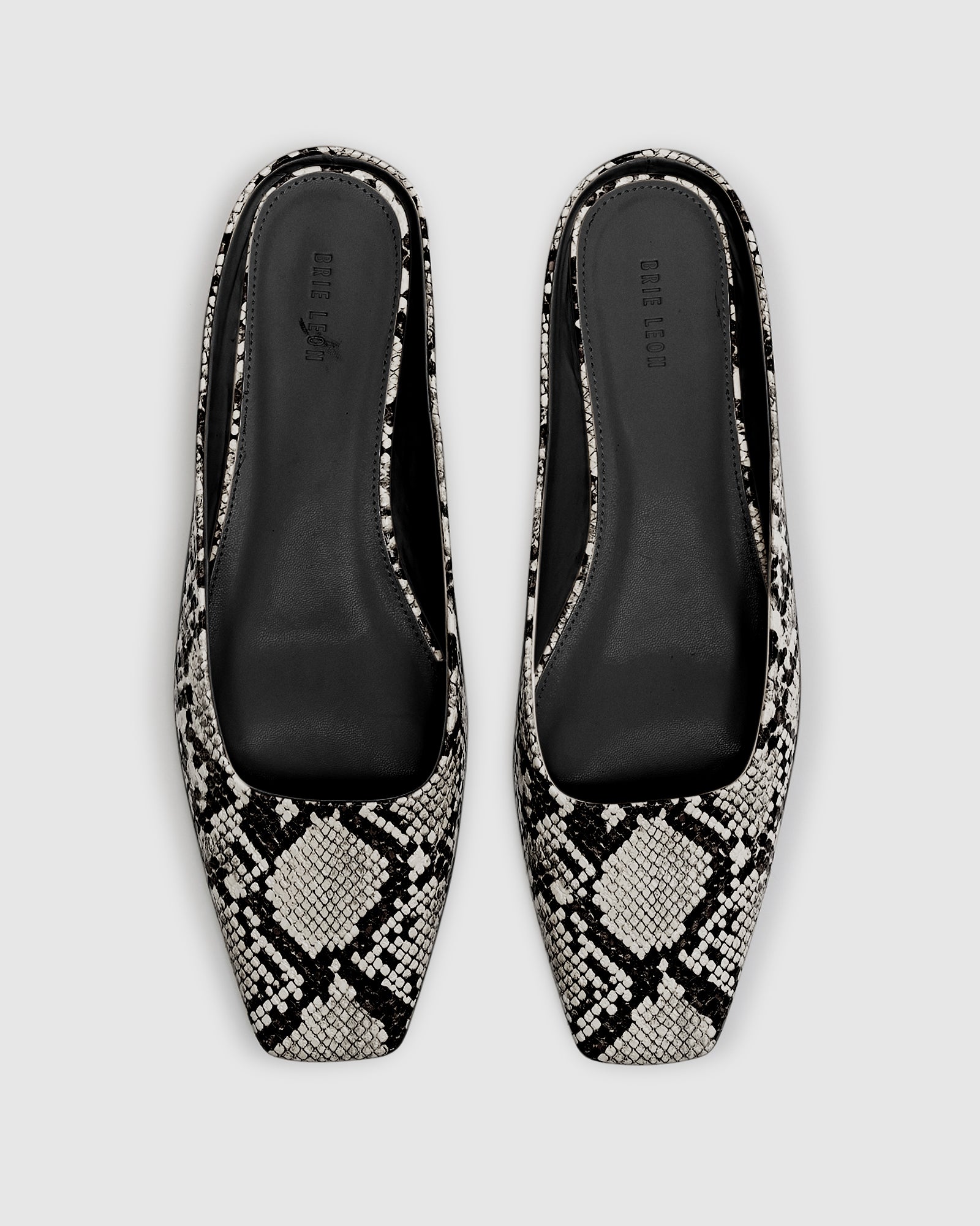 Amelia Ballet Mule