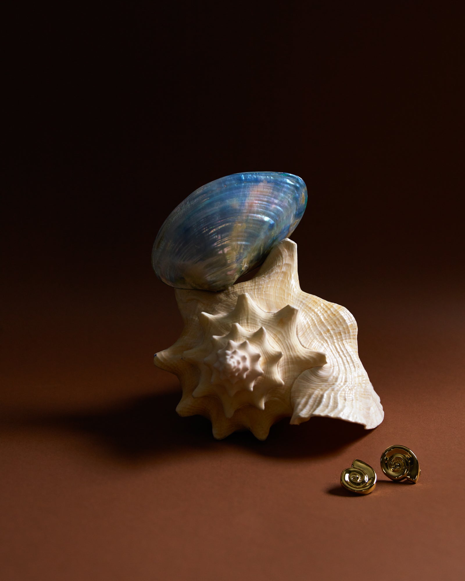 Mini Spiral Earrings